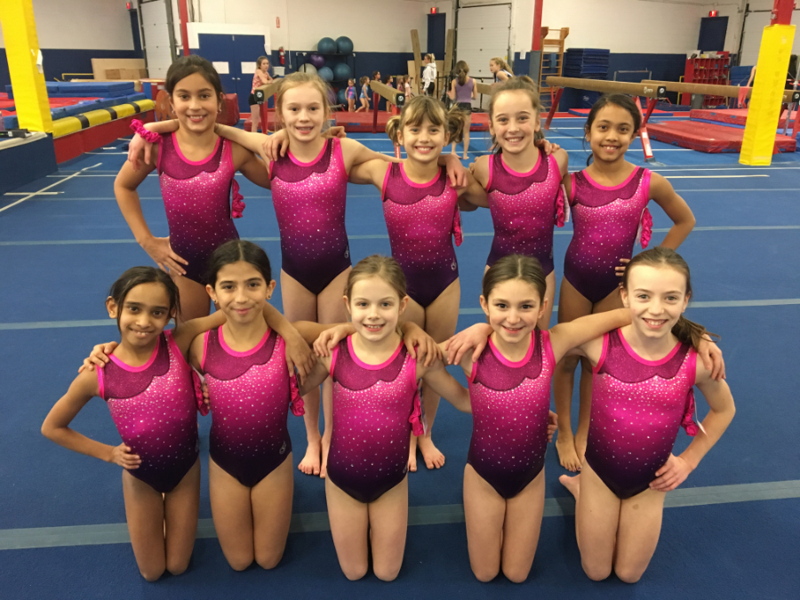 Recreational Gymnastics Programs - Toronto Aspirals Gymnastics Centre